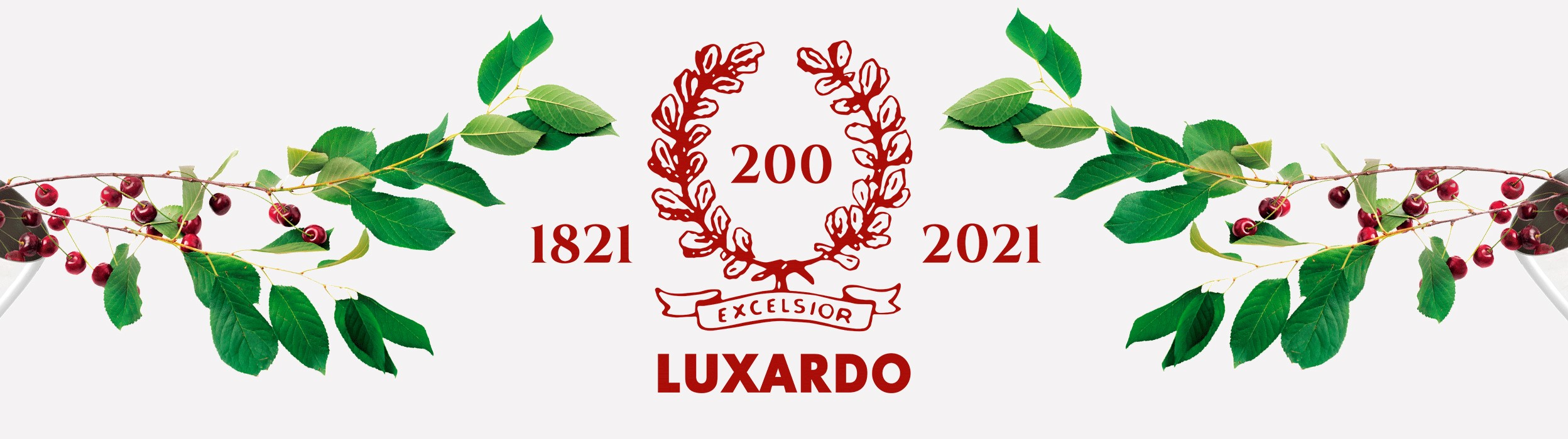 Luxardo Maraschino liqueur