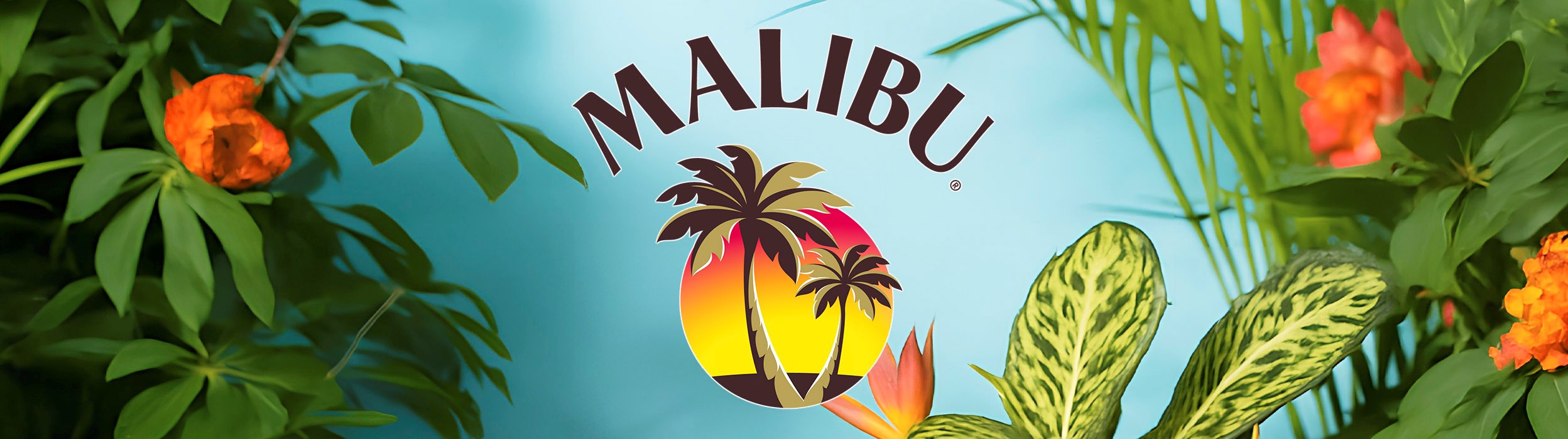 Malibu Original