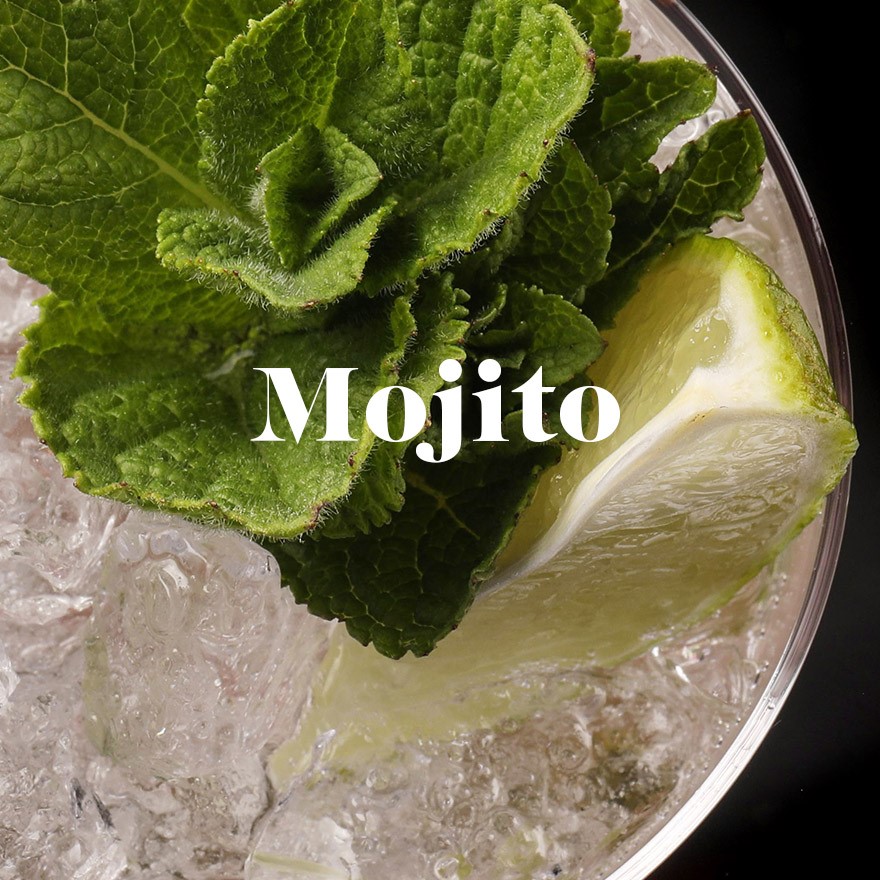 Mojito cocktail Image
