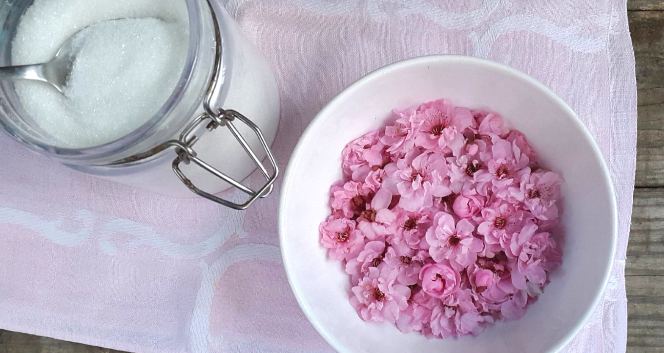 Bartenders' guide to foraging: Cherry blossom