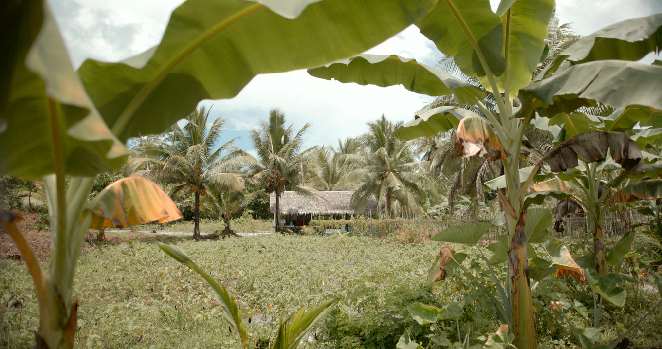 Coconut Commitment image 1