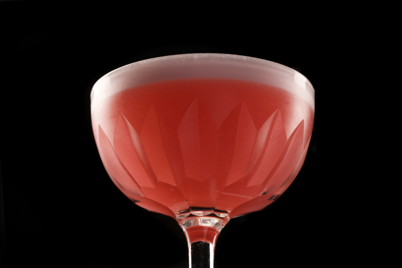 ency 38 image