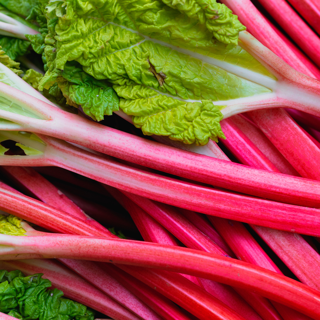 Rhubarb Liqueurs