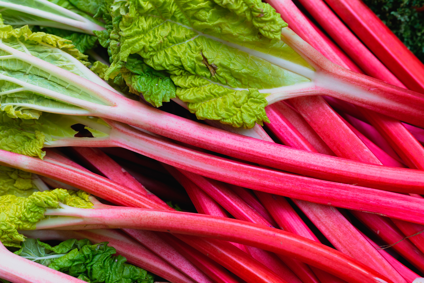 Rhubarb Liqueurs image 1