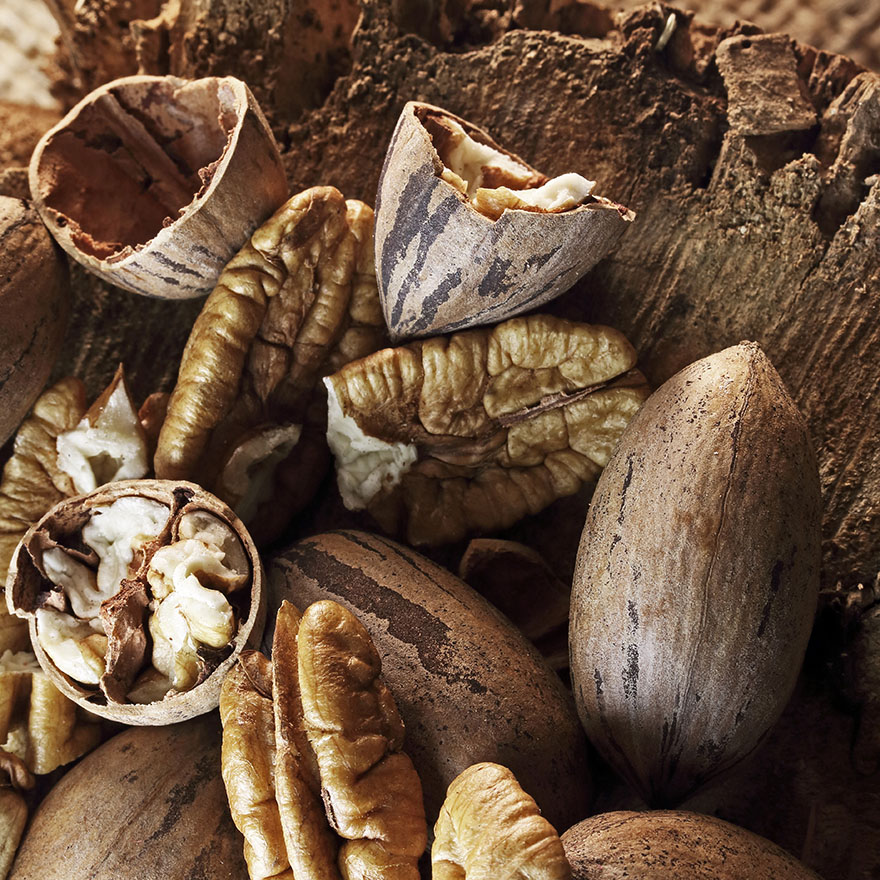 National Nut Day
