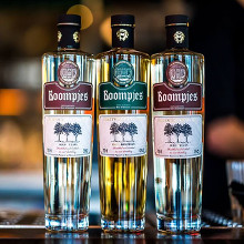 What to do in NL if you like good drinks? March 2018 image