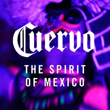 The Spirit of Mexico image