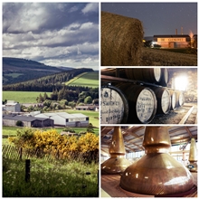 The Glenlivet - Γευστική Δοκιμή image