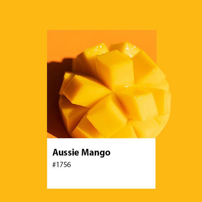 A Short History of Growing Mangoes in Australia image