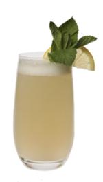 Elderflower Gin Fizz image