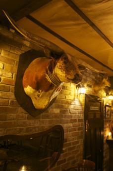 Shady Pines Saloon image 3