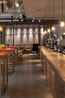 The Anthologist image 1