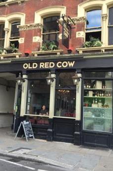 Old Red Cow image 1