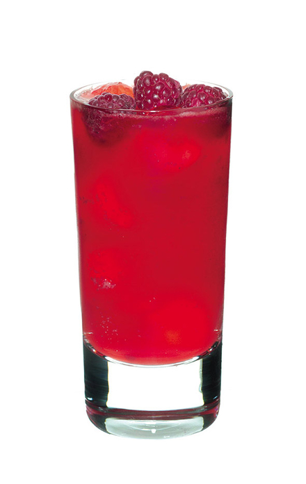 Tennessee Berry Mule image