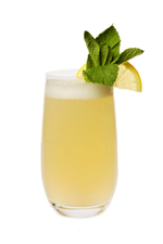 New Orleans Gin Fizz image