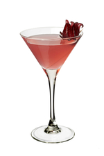 Hibiscus Margarita image