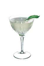 Mint Cocktail image