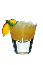 Kentucky Colonel image