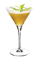 Julep Martini image