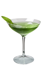 Shamrock image