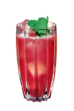 Cranberry Delicious (Non-alcoholic) image