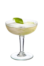 Creole Gimlet image