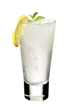 Gin Fizz image