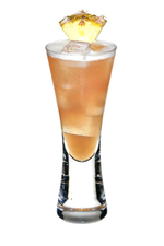 Georgetown Punch image