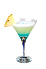 Vacation Martini image