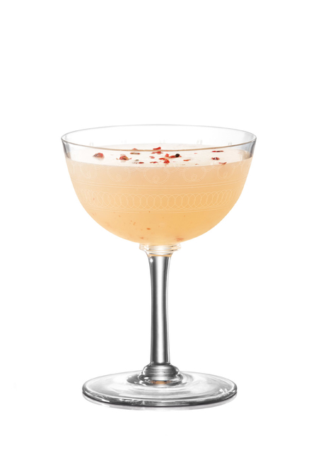 Cocktail image