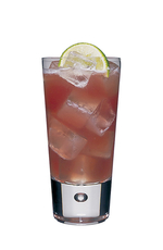 Sorrel Rum Punch image
