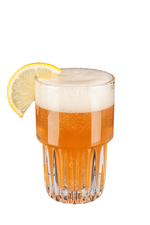 Sloe Gin Fizz image