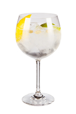 Gin Tonica image