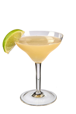 Napoléon Margarita image