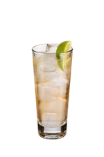 Gin Spider Highball image