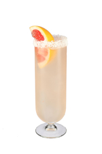 Swedish Paloma image