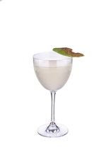 Celery Wine image
